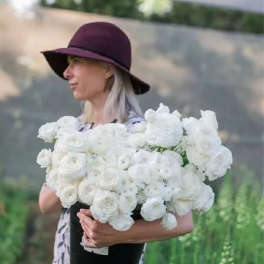 White Ranunculus