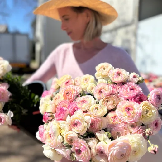 Light Pink Porcelain