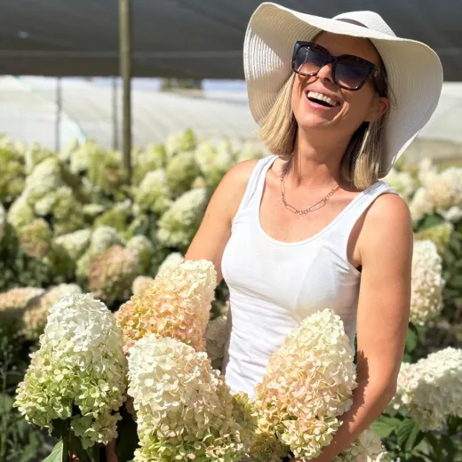 Paniculata Shades of Green, Pink & White