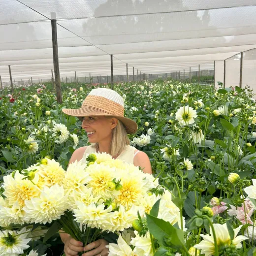 Café Au Lait Supreme