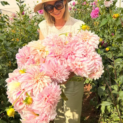 Vassio Meggos Gevlamd