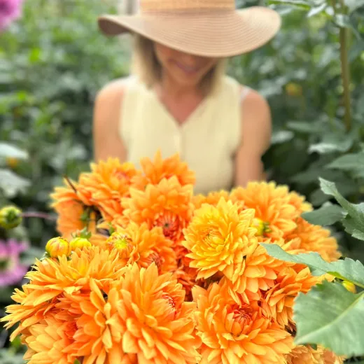 Glorie van Heemstede