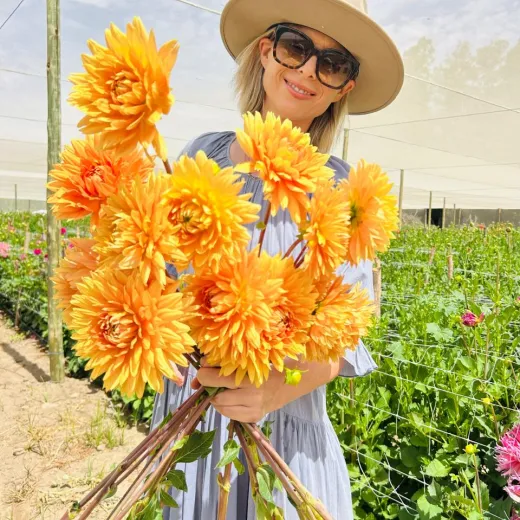 Glorie van Heemstede