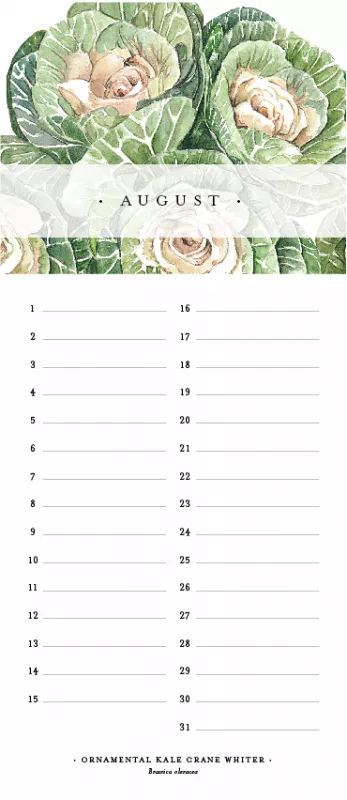 Birthday Calendar