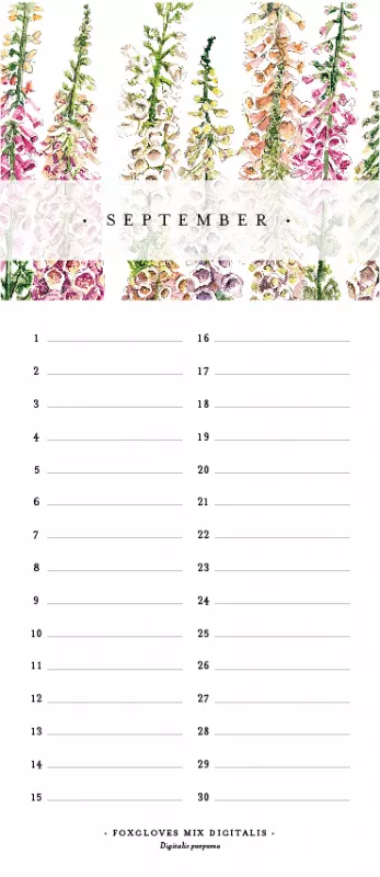 Birthday Calendar