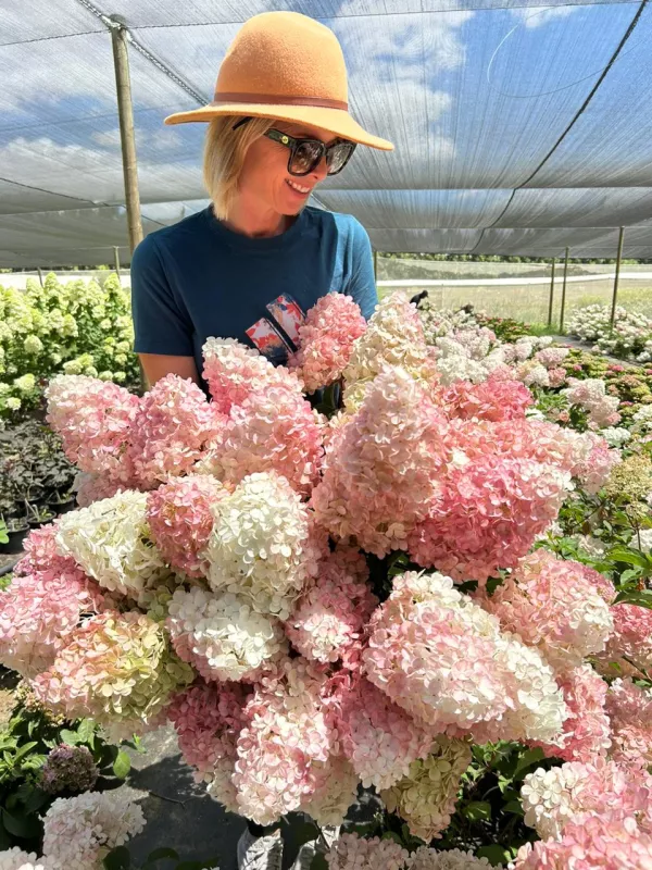 Paniculata Candle - Light Pink