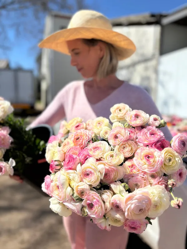 Light Pink Porcelain