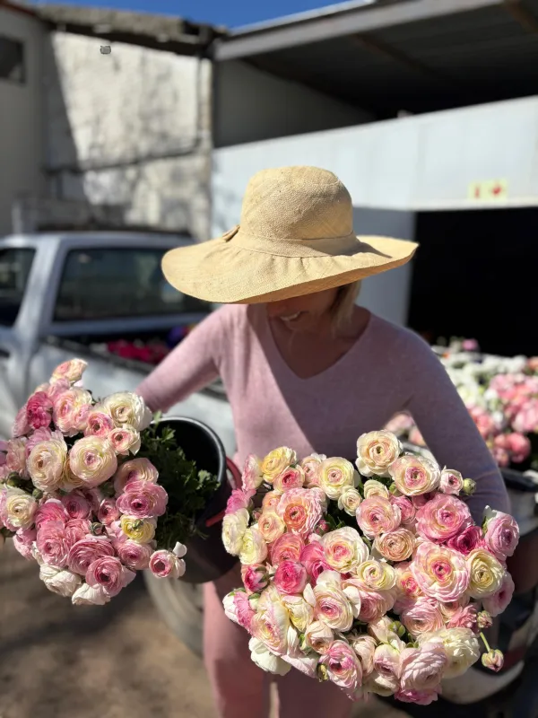 Light Pink Porcelain