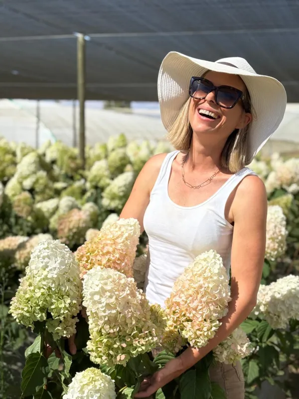 Paniculata Shades of Green, Pink & White