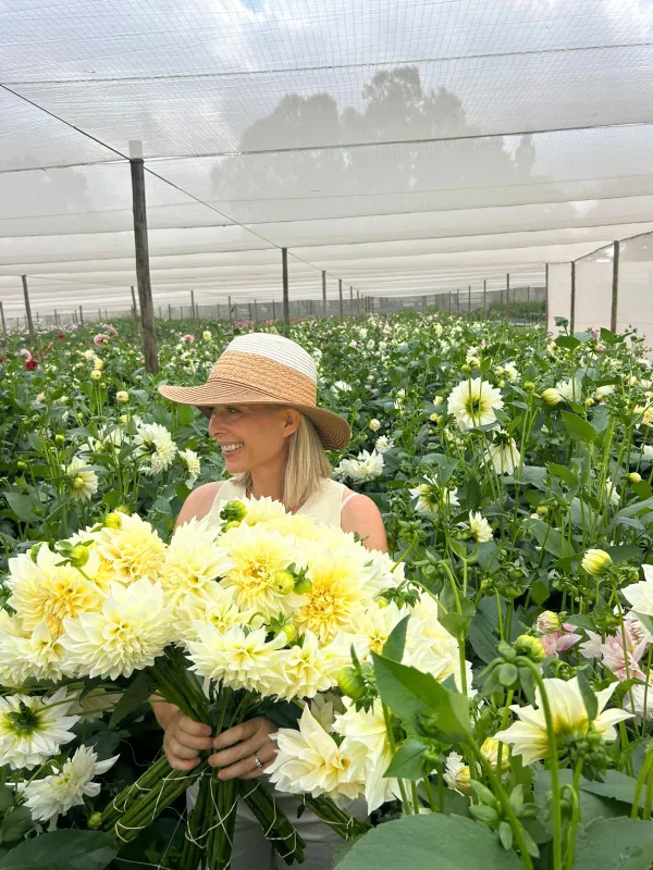 Café Au Lait Supreme