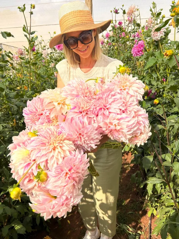 Vassio Meggos Gevlamd