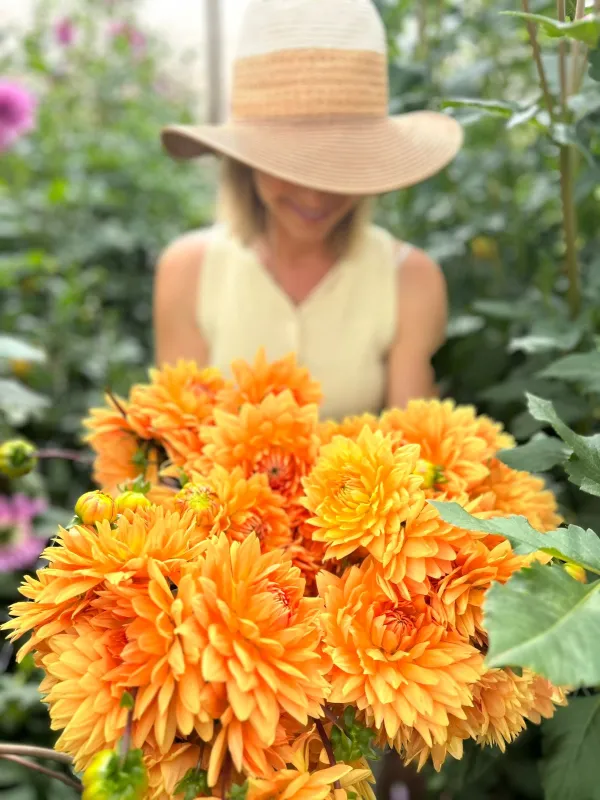 Glorie van Heemstede