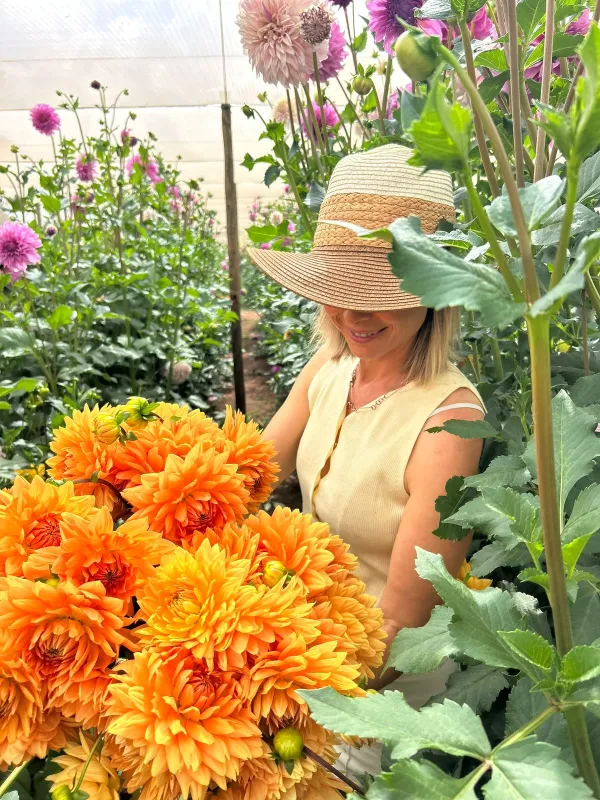 Glorie van Heemstede