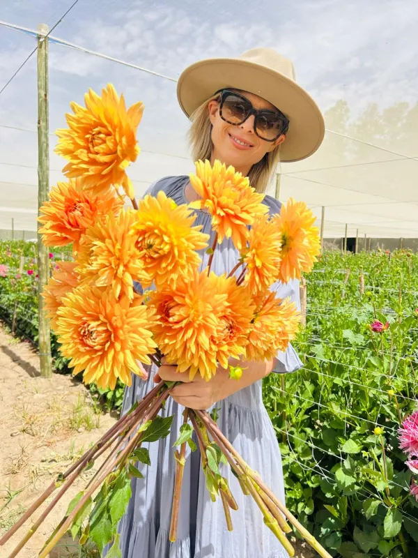 Glorie van Heemstede